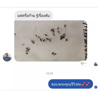 (ใหม่) 10 ห่อ ถูกสุด🔥สูตรใหม่ธูป ไล่ ยุง จุดได้ทั้งในและนอกบ้าน (ห่อละ 30 ก้าน)