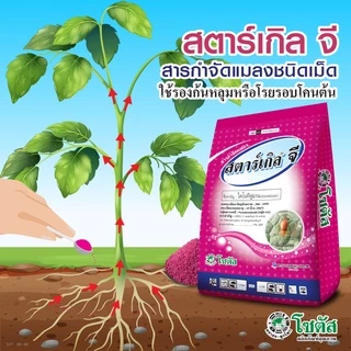 สตาร์เกิล จี 1กก. กำจัดแมลง ฆ่าเพลี้ย หนอน แมลงหวี่ มด ด้วง สำหรับผัก ไม้ดอกไม้ประดับ แคคตัส ปลอดภัยไม่เป็นพิษ สตาเกิล