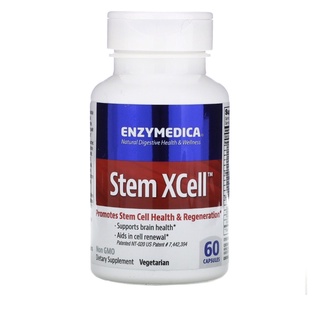 stem Xcell ชะลอวัย เสริมสร้า cell ใหม่ บำรุงสมอง 60 capsules