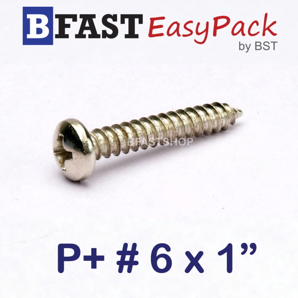สกรูเกลียวเหล็ก P+ # 6 x 1" (25 ตัว/ถุง)