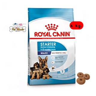 Royal Canin Maxi Starter Mother &amp; Babydog (อาหารสุนัขแบบเม็ด สำหรับแม่สุนัขพันธุ์ใหญ่ช่วงตั้งท้อง-หย่านมลูก) 4kg