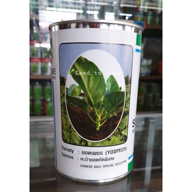 คะน้ายอดคัดพิเศษยอดเพชร seedline 500 g.(สิ้นอายุ07/2027)