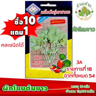 (ซื้อ10แถม1) เมล็ดพันธุ์ ผักโขม ขาว white amaranth ประมาณ 13,300เมล็ด 3A สามเอ ผักสวนครัว เมล็ดพันธุ์พืช เมล็ดผัก