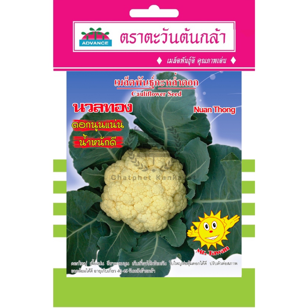 เมล็ดพันธ์ุ กะหล่ำดอก นวลทอง 0.5 กรัม/ซอง ตราตะวันต้นกล้า