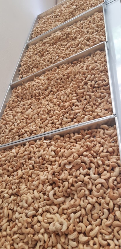 เม็ดมะม่วงหิมพานเกรด A เม็ดมะม่วงหิมพานต์อบเม็ดเต็มอันดับ 1 ราคาถูก รสเกลือ  รสธรรมชาติ  อบสดใหม่หอมอร่อย ราคา ถูกที่สุด ดีลบีเคเค แกลเลอรีภาพที่ 7