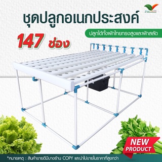 ชุดปลูกอเนกประสงค์ 147 ช่อง By  Hydroponicgroup