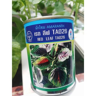 ผักโขมเรดลิฟ (Amaranth) 100 กรัม เพื่อนเกษตร (พรีออเดอร์)