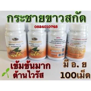 กระชายขาวผง ผงกระชาย ตราแม่-กุหลาบ (ห้าม้า)🌱ชนิดบรรจุ🟢แคปซูล🍀100😊แคปซูล🟢มีอย👍แท้100%