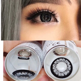 Hyper / King Gray / Camellia Gray บิ๊กอาย สีเทา ตาโต โทนแบ๊ว Contact Lens Bigeyes คอนแทคเลนส์ ค่าสายตา สายตาสั้น แฟชั่น