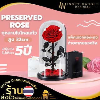 ดอกกุหลาบในโหลแก้ว Size L สูง 32 cm Preserved Rose ของขวัญครบรอบ ของขวัญรับปริญญา กุหลาบในโหลแก้ว ของขวัญให้แฟน