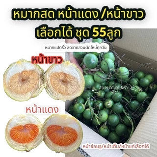 หมาก ชุด 55 ลูก ตัดใหม่จากสวนทุกวัน หมากสด หน้าขาว หรือหน้าแดง หมากแปดริ้ว