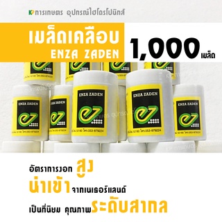 เมล็ดผักสลัดเอนซ่า ENZA ZADEN ชนิดเคลือบ กระปุก 1,000 เมล็ด ผักไฮโดรโปนิกส์