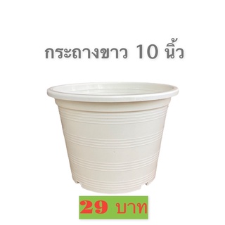 กระถาง 10 นิ้ว สีขาว พลาสติกหนา ทนทาน