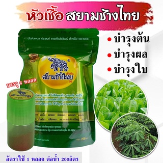 **1ซอง มี 6หลอด** สยามช้างไทย หัวเชื้อสยามช้างไทย หัวเชื้อเข้มข้น 1ห่อ(6ขวด) *ของแท้100% หัวเชื้อฮอร์โมนเข้มข้น