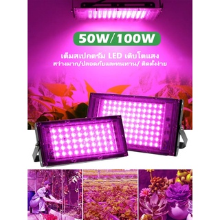 ไฟปลูก 220V Full Spectrum LED Grow Light 50W 100W ไฟปลุกต้นไม้ ไฟช่วยต้นไม้ตัวเร็ว มีสวิตช์ปิดเปิด สายไฟยาว1.5โมตร