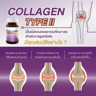 VISTRA COLLAGEN UC-II TYPE II วิสทร้า คอลลาเจน ยูซี ทู ไทพ์ 2 EGG SHELL Calplex Calcium bio แคลเซียม กระดูก