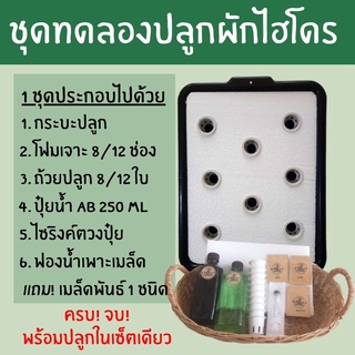 [มือใหม่] ชุดทดลองปลูกผักไฮโดรโปนิกส์ กระบะดำ 8 ช่อง อุปกรณ์ปลูกครบจบพร้อมปลูก ปลูกผักไฮโดรโปนิกส์