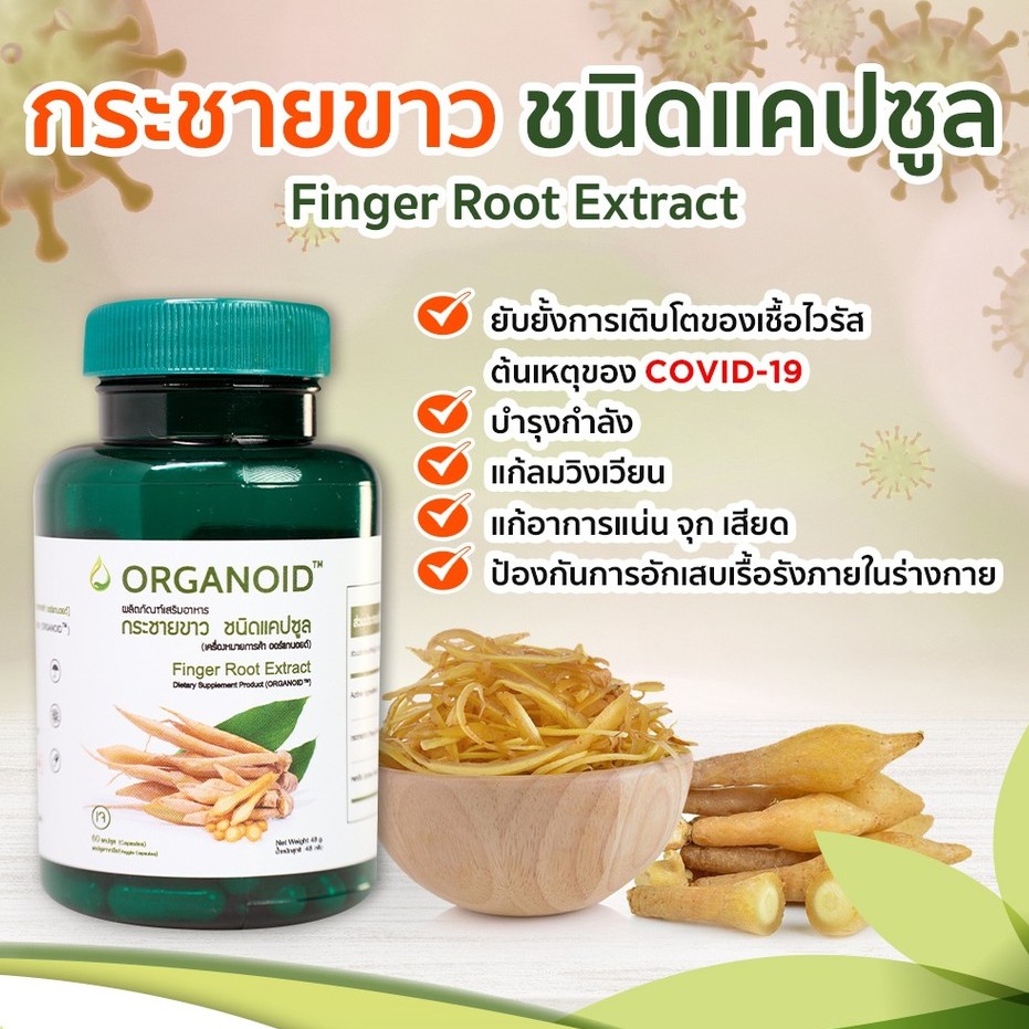 กระชายขาว 60 แคปซูล ต้านไวรัส ORGANOID (ออร์แกนอยด์) Sacha Inchi