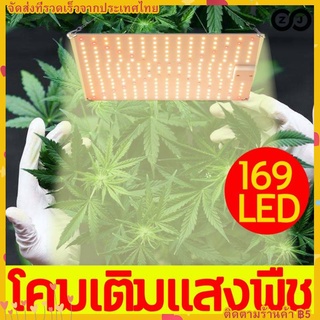 เติมแสงให้กัญชา ไฟปลูกต้นไม้ LED 169 ไฟปลูกพืช เต็มสเปกตรัม แสงอาทิตย์ ไฟปลุกต้นไม้ ไฟช่วยต้นไม้ตัวเร็ว มีสวิตช์ปิดเปิด