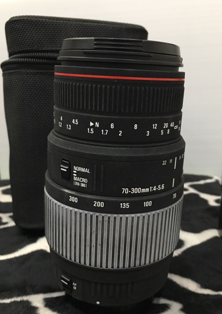 海外最新 シグマ 70-300mm F4-5.6 DG キャノン EFマウント #577 i9tmg