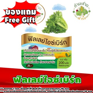 สินค้าของแถม Free Gift 1 ซอง เมื่อลูกค้าซื้อสินค้า เมล็ดพันธุ์ผักสลัดซองละ 25 บาท ในร้านค้า ทำมะชาดฟาร์ม ครบทุกๆ 10 ซอง