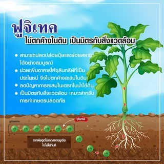 [แบ่งบรรจุ 1 กก.] ปุ๋ย ฟูจิเทค 16-16-16 +5% (Fujitech)พัฒนาจากประเทศญี่ปุ่น ปุ๋ยโซตัส ปุ๋ยฟูจิเทค ปุ๋ยซัลเฟต