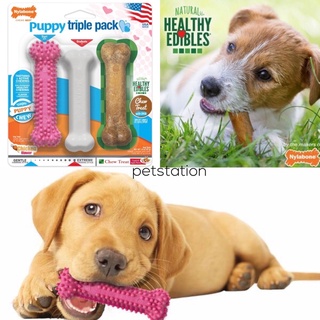 Nylabone Triple Pack ของเล่นขัดฟัน