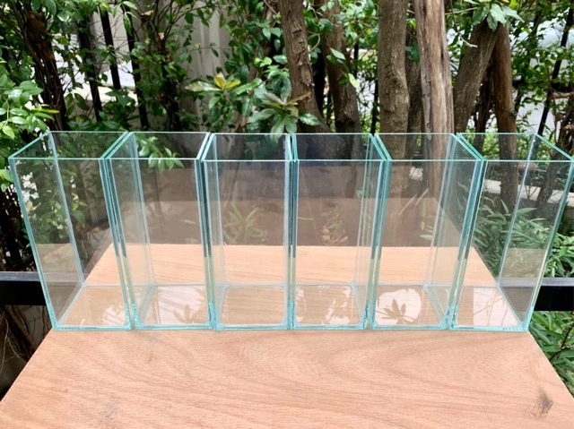 โหลปลากัดขนาด 3x3x6 นิ้ว และ 3x3x7 นิ้ว หนา 3 มิล thumbnail 10