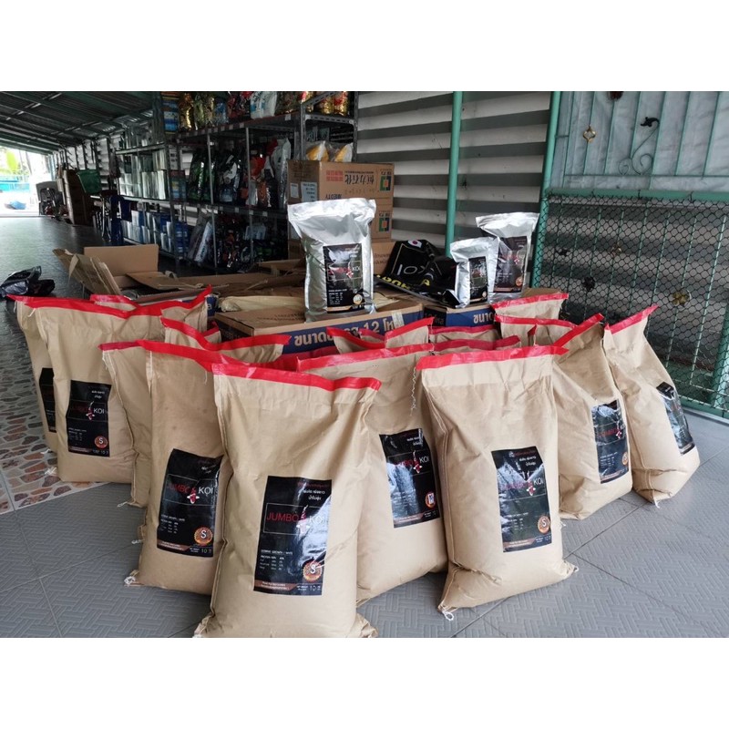 Jumbo_Koi อาหารปลาคาร์ฟ ล่ำไว ขาวไว