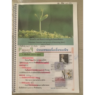 ชีทสรุป Biology ประเภทของเนื้อเยื่อของพืช มือ 2