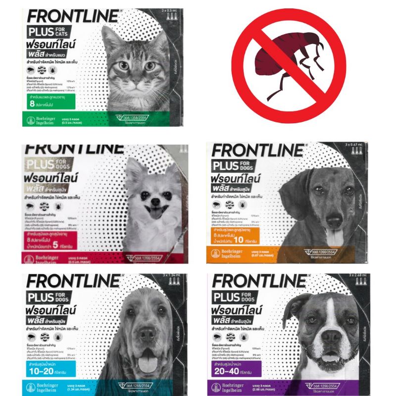 Frontline  Plus  ฟรอนท์ไลน์ พลัส  ยาหยดกำจัดเห็บหมัด เห็บแมว  หมัด  แมว หมา สุนัข