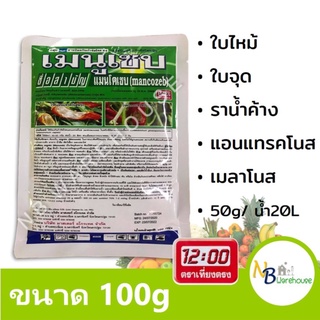 (100g) เมนูเซบ แมนโคแซบ ตราเที่ยงตรง กำจัดเชื้อรา ใบจุด ใบไหม้ ราน้ำค้าง แอนแทรคโนส ราสนิม ป้องกันกำจัดโรคพืช 0156