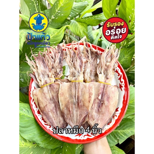 ปลาหมึกแห้ง 4 นิ้ว สดใหม่ทุกวัน ปลอดสารพิษ 100% เนื้อหวานธรรมชาติ
