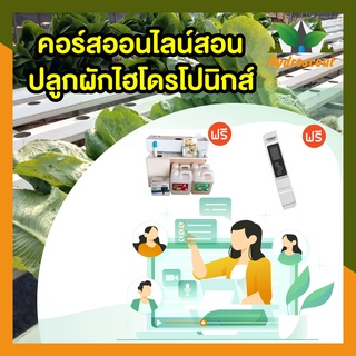 Hydroponic Workshop คอร์สออนไลน์สอนปลูกผักไฮโดรโปนิกส์แบบละเอียด ดูแลและสอนจากผู้เชี่ยวชาญ by hydroscout