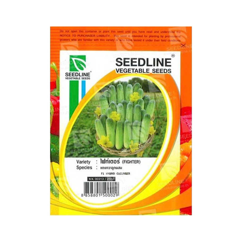 (พร้อมส่ง) SEEDLINE - เมล็ดแตงกวาลูกผสม (Fighter)