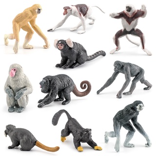 ❤การขายส่งโรงงานอุตสาหกรรม❤มเดลไพรเมตจำลองMini Proboscis Monkey Gibbon Bonobo Lemur ชุดเครื่องประดับเด็ก Cognitive Early Education ของเล่น Montessori สอน Aids