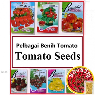 Pelbagai Benih Tomato Seed Dwarf Mini Cherry Taiwan Short Tree Pokok Pendek มะเขือเทศเมล็ด ไต้หวัน矮种 Biji Benih Tomato M