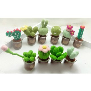 DIY Kit set Felting cactus ใยขนแกะ สูงประมาณ 4 - 6 cm.ราคาชุดละ