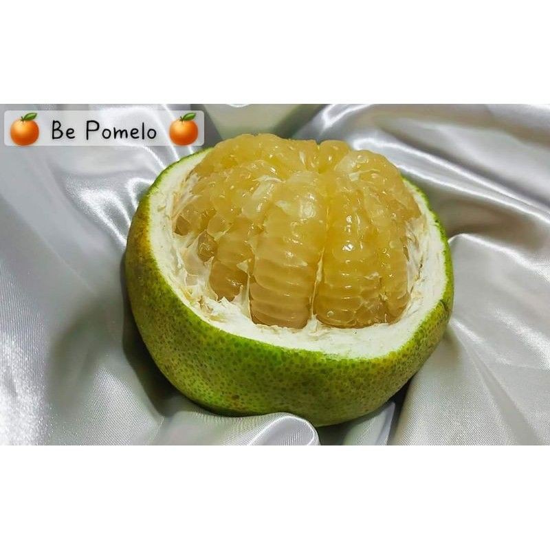 Vi•va•cious, ร้านค้าออนไลน์ Shopee Thailand