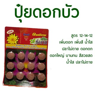 ปุ๋ยดอกบัว สูตร 12-14-12 เพิ่มดอก เพิ่มสี น้ำใส ปลาไม่ตาย ดอกดก ดอกใหญ่ บานทน สีสวยสด น้ำใส ปลาไม่ตาย