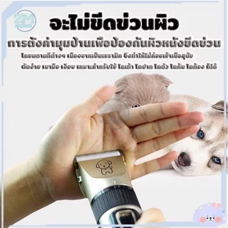 ที่ตัดขนสุนัข ปัตตาเลี่ยนหมา ปัตตาเลี่ยนไร้สาย ชุด ตัดขนสัตว์ การชาร์จ USB ใบมีดเซรามิคเคลือบไทเทเนียม dog clipper