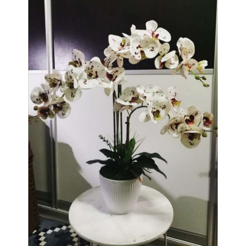 ORKID น้ํายาง VIRAL STOK