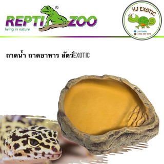 Reptizoo ถาดน้ำ ถาดอาหารสัตว์Exotic