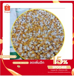 ใส่โคด:SPOO488 (ลด15%)ข้าวโพดอาหารสัตว์ใช้สำหรับเลี้ยงไก่และนกและสัตว์ชนิดอื่นๆ