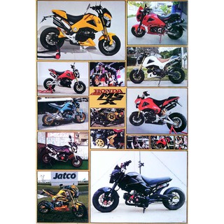 โปสเตอร์ รูปถ่าย รถมอเตอร์ไซค์ ฮอนด้า Honda MSX 125 (2013) POSTER 24”X35” Japan Bikes mini Motorcycle