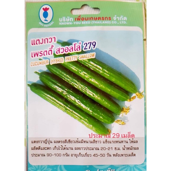 เมล็ด แตงกวาญี่ปุ่น เพรตตี้ สวอลโล่ (30 เมล็ด)
