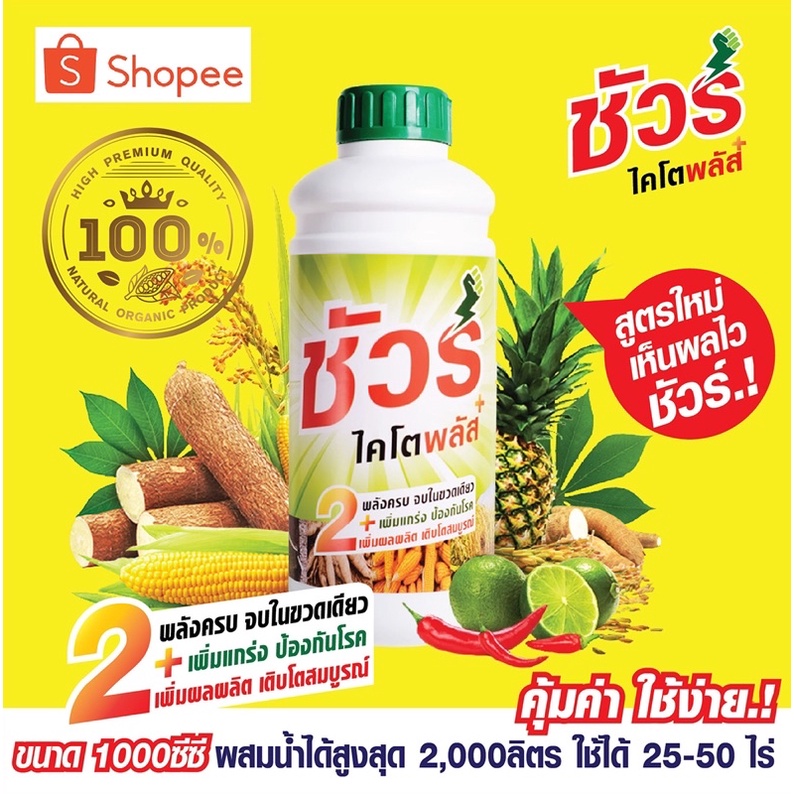 ชัววร์ไคโตพลัส พืชเติบโตสมบูรณ์ ฟื้นต้นโทรม ป้องกันโรคพืชแมลง เพิ่มผลผลิตเท่าตัว! สูตรใหม่