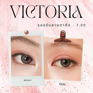 Angel Zone คอนแทคเลนส์ รุ่น 14.2 Victoria Gray/Brown (รองรับค่าสายตาปกติและสายตาสั้น -0.50 ถึง -7.00)