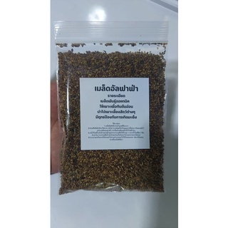 เมล็ดพันธุ์ อัลฟัลฟา 100กรัม Alfalfa seeds เมล็ดใหม่คัดพิเศษ