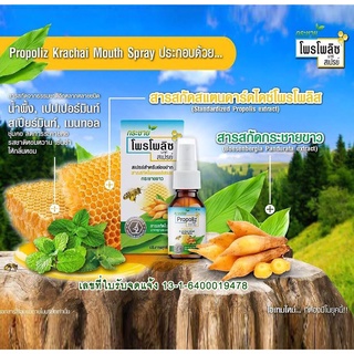 สเปรย์โพรโพลิซ+กระชายขาว ใหม่ล่าสุด รสชาติดีมาก Krachai Propoliz Mouth Spray (15 ml.)(หมดอายุ 03-09-24)